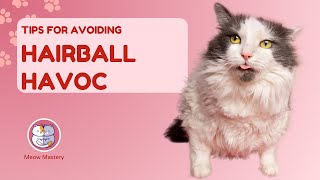Hairball Havoc: Preventing Disasters Before They Happen!