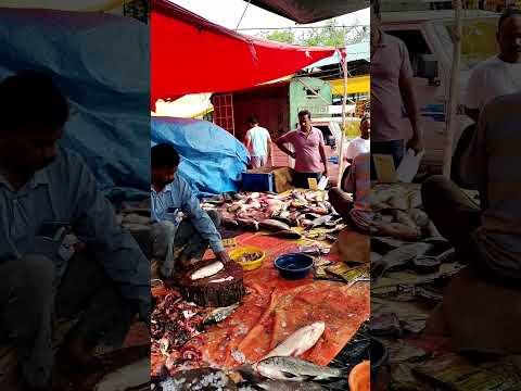 Chandapura Fish Market #fish #fishmarket #chandapura #bangalore #livefish