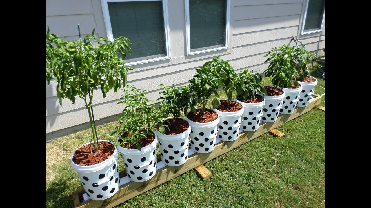 Air-Pot Gardener  Growing better plants with Air-Pot containers.