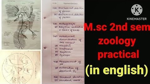 #Msc 2nd sem zoology practical 🙏😁🌼☺