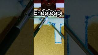 Endoloop Endotrainer