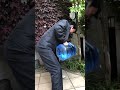 #ウチで過ごそう / 山本譲二 編 ~やっぱり譲二さんはかっこいい!~デビュー45周年第二弾記念シングル「夜明け前」絶好調発売中!~
