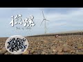 退大潮潮間帶撿螺! 螃蟹?海參?綠貝? 跟我一起到海邊尋寶吧~｜Homemade  ｜ countryside life ｜Pick up whelk 刻夢【kedream】