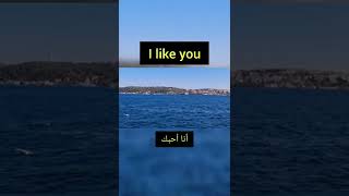 بالتركي المحبة التشابه/ Sevmek benzemek/ like : look like