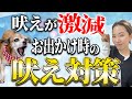 【吠え激減】旅先での犬の吠えにはこうしてください