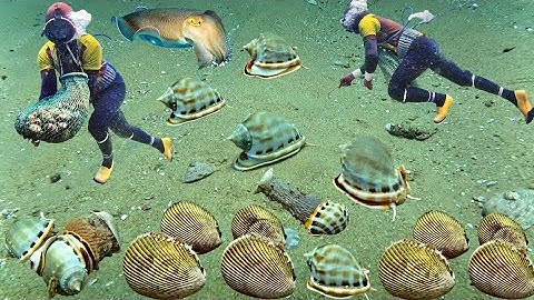 Mới Nhảy Xuống Gặp Ngay Ổ ốC Tỏi Sò Dương Thợ Lặn Bắt Đã Tay | Cảnh 86