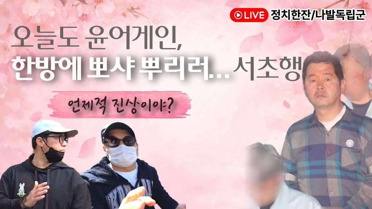 서초 윤어게인 소탕대작전🫡