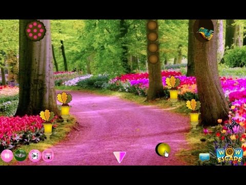 Wow Escape Game Save the Ladybird walkthrough..