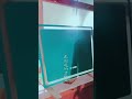 Complete steps to make led mirrors, laser engraving machine #lasermarkingmachine #artglass