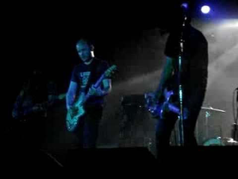 Explosions in the sky 5