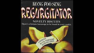 Regurgitator Live at the Wireless 1995 - 3. 'Kong Foo Sing'