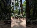Nas trilhas do Ibirapuera o caminho,