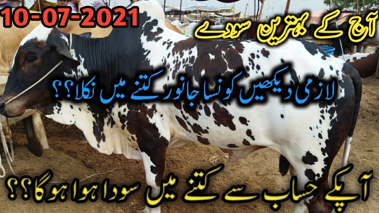 Sohrab Goth Mandi Latest 10 July 2021 update Aaj k vip sode