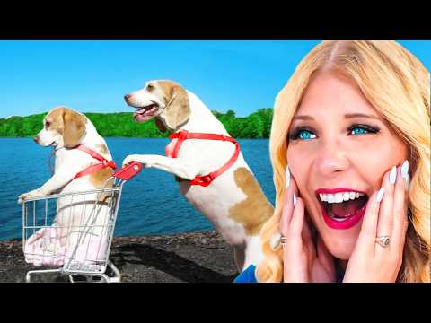 Worlds FUNNIEST Pets