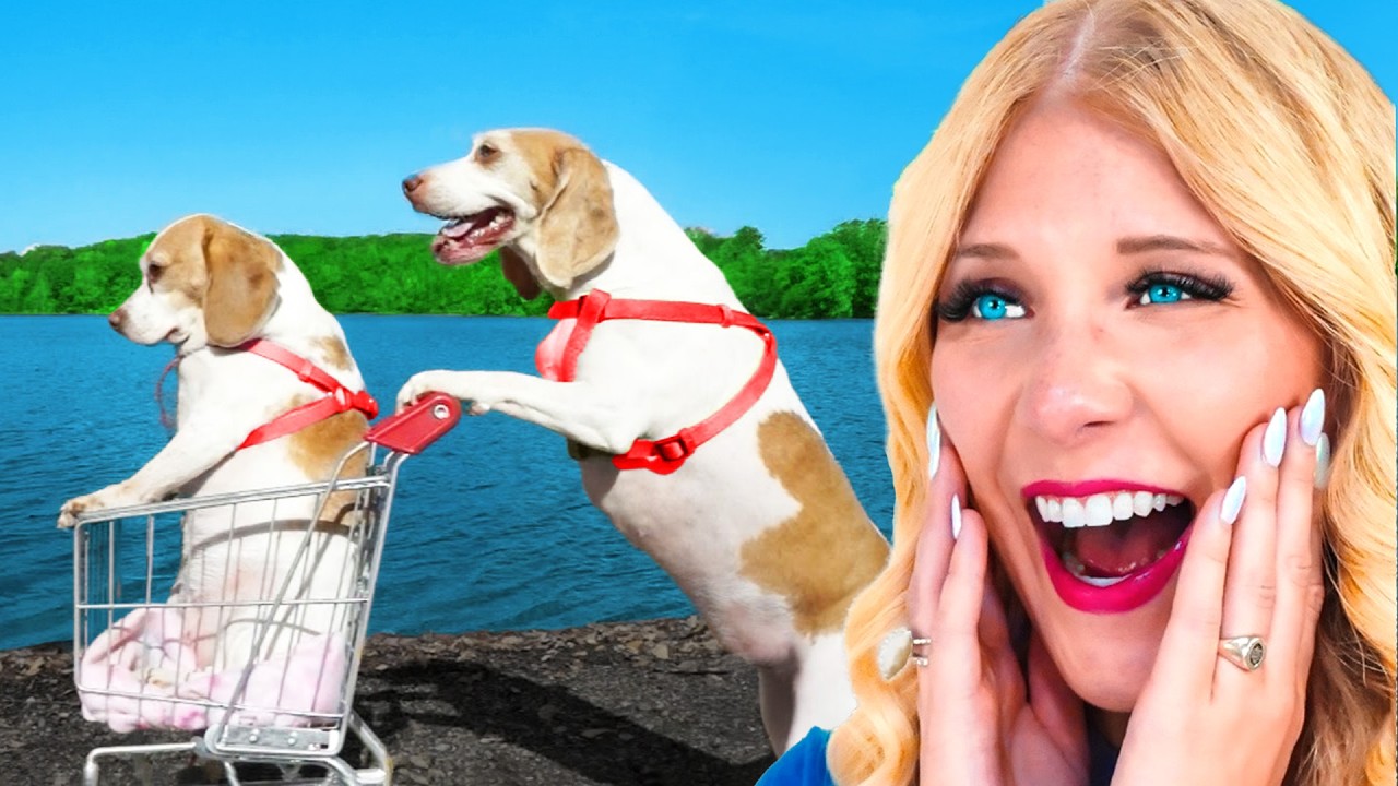 Worlds FUNNIEST Pets