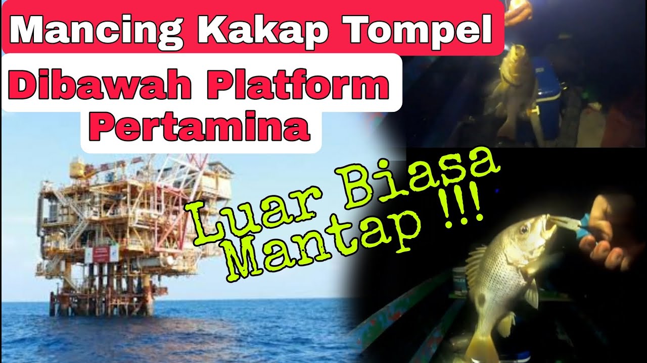mancing rig pertamina | mancing di peciko | mancing malam hari di bawah ...