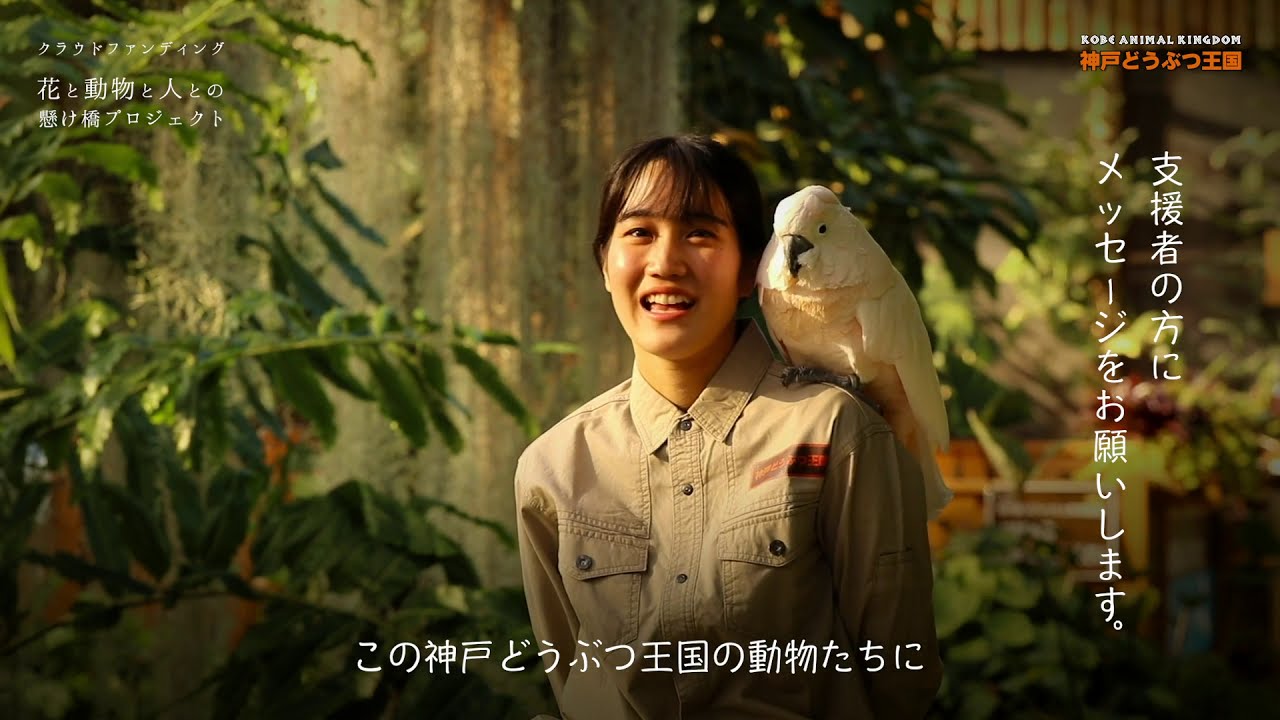スタッフインタビュー 7 Youtube