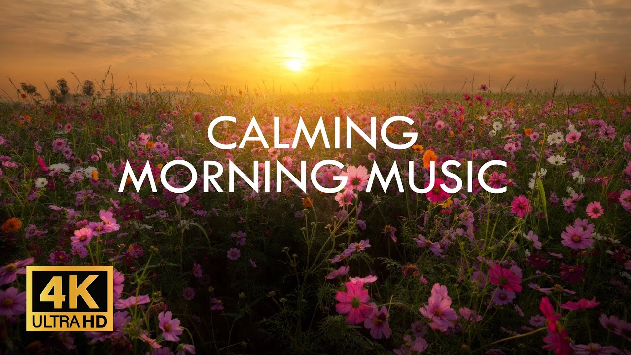 Calming Morning Music 💛 Tranquil Morning Music For New Positive Energy - The Road To Happiness