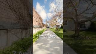7 Anderson Grove, Epuni, Lower Hutt, NZ  #realestate