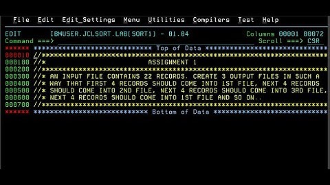 JCL SORT Practical 1 - Split Records from Input file to multiple output files