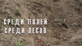 Среди полей среди лесов | ЕЕ88