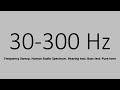 30 300 Hz Frequency Sweep Human Audio Spectrum Hearing Test Bass Test Pure Tone