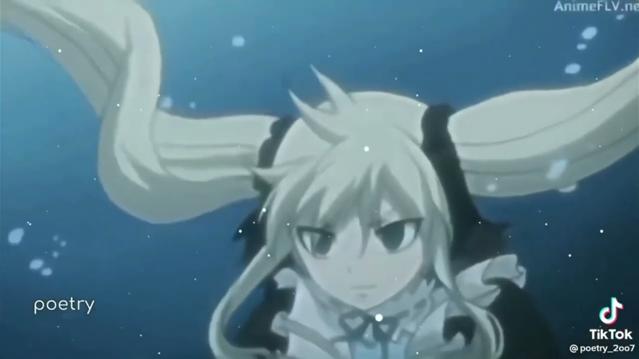 Tik Tok Fairy Tail #5