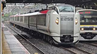 まさかの臨時停車！2015M E259系Ne022編成 Ne008編成 成田駅中線 到着シーン