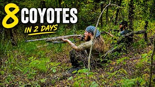8 COYOTE WEEKEND Part 2