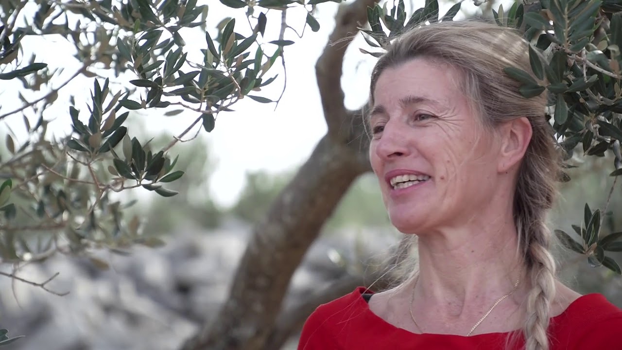 OPG Brzić - Otok Pašman