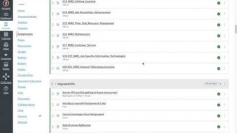 Grading Categories in Canvas to Match Infinite Campus