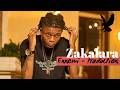 Zakalara Ya Mboka Lyrics In French Enemies 