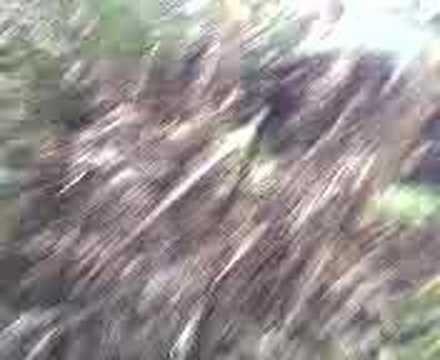 gary birch chant in the middle of nowhere