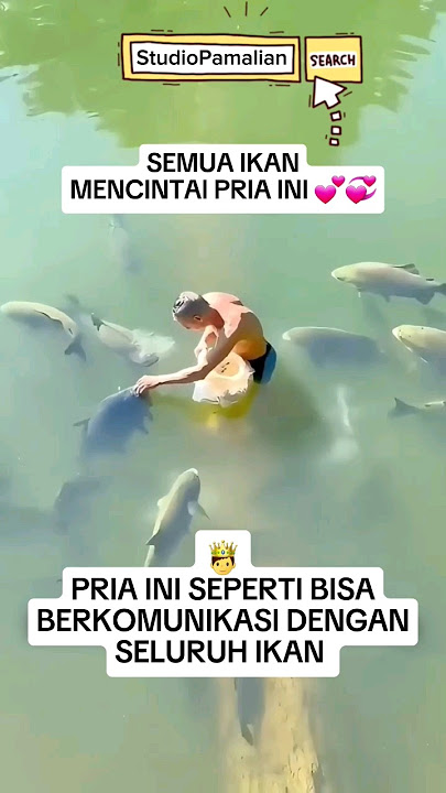 Semua ikan mencintai pria ini #animals #shortvideo #shorts #reaction #viral #trendingshorts