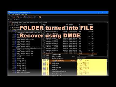 Folder turns into File - How to recover the data - DMDE