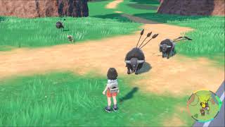 ポケモンsv パルデアケンタロスの進化と出現場所 おすすめ性格 スカーレットバイオレット ゲームエイト