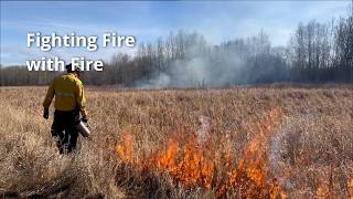 Fighting Fire with Fire