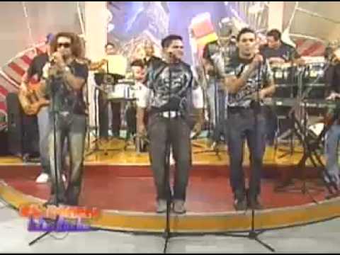 amarfis papa boco amarfis papa boco
