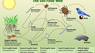 Art and Science of Composting NOFA-NJ Presentation 2014