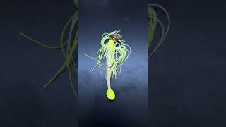 my lures