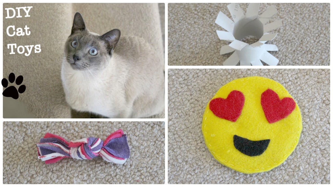 DIY Cat Toys! YouTube
