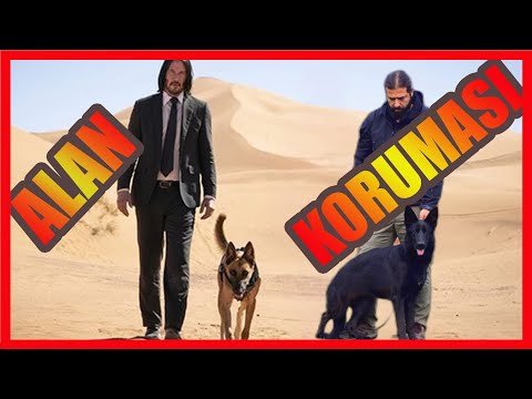 Video: Köpek Korumalı Bahçeler - Köpeğinizi ve Bahçenizi Nasıl Anlaşırsınız