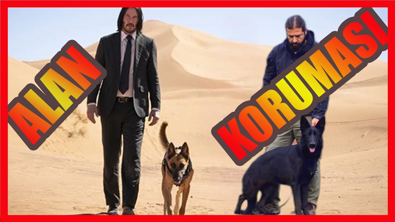 BEKÇİ KÖPEĞİ NEDİR - KORUMA KÖPEĞİ NASIL OLMALIDIR ?