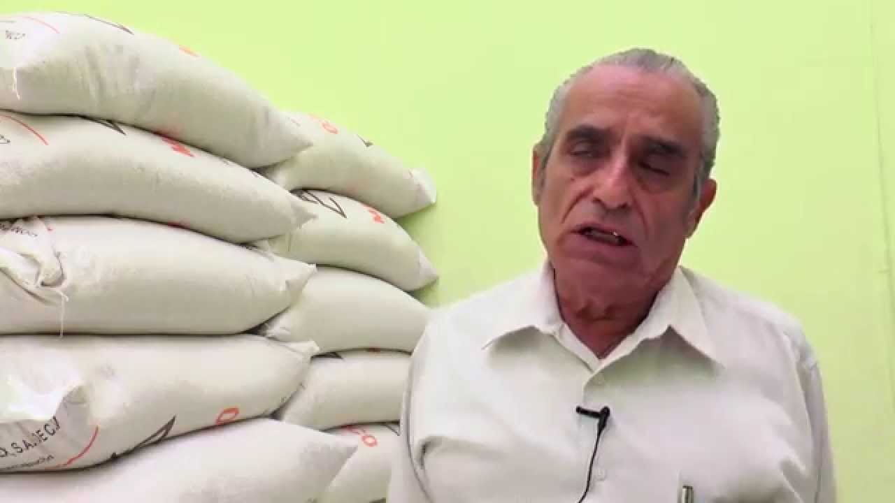 Expertos en nixtamalización