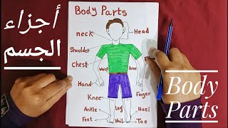 (9) أعضاء جسم الإنسان  في اللغه الإنجليزية
