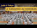 Judo  tokyo  le kangeiko au kodokan