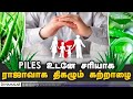 PILES உடனே சரியாக  ராஜாவாக திகழும் கற்றாழை