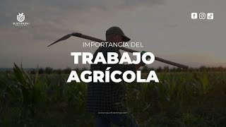 IMPORTANCIA DEL TRABAJO AGRICOLA  QUATTRADING SERVICES