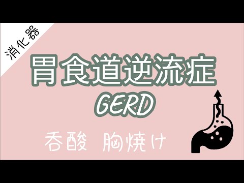 【5分医学】胃食道逆流症（GERD）/消化器