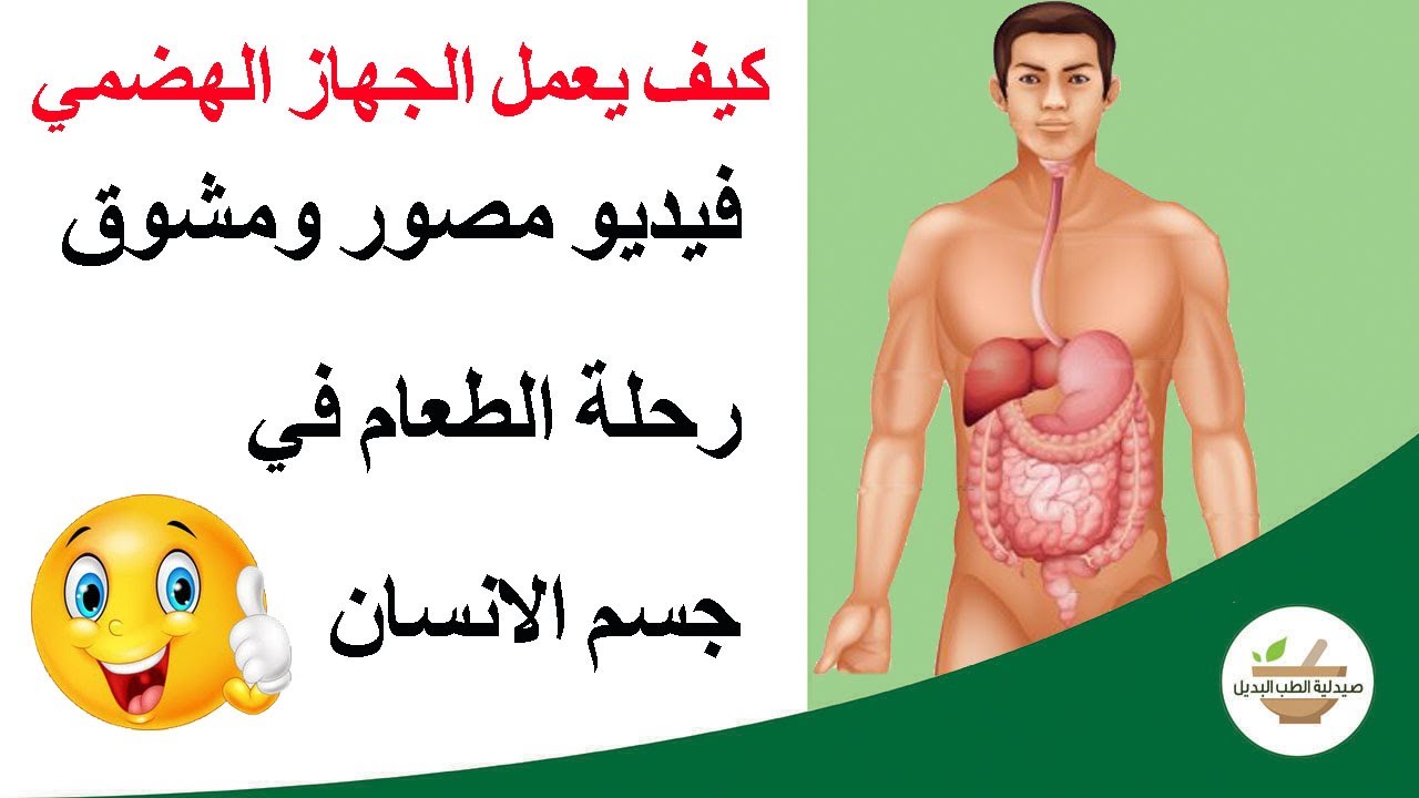 🍕🍔🍟كيف يعمل الجهاز الهضمي، رحلة طعام مصورة داخل جسم الانسان